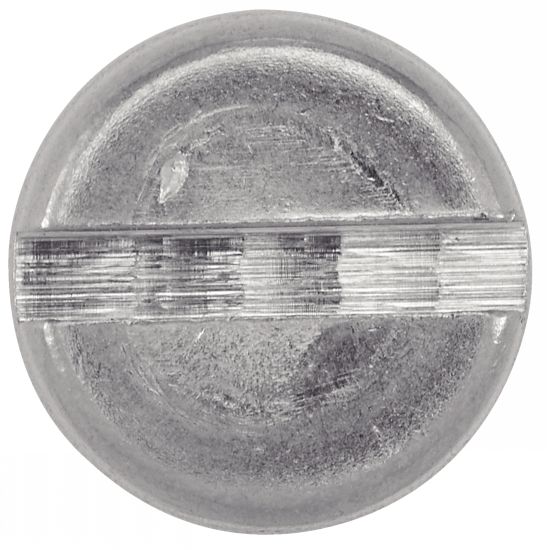 Vis acier tête cylindrique fendue M2 x L8 (sachet de 100)